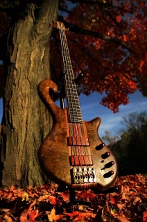 http://baskytara.com/img/m/1233/t/p179aojj2m7jcg5qb2o1e5310cm3.jpg