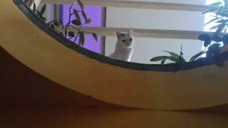 http://baskytara.com/img/m/2129/t/p185lbkok0171q1q411jk81me0no6n.jpg