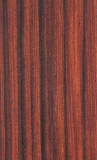 http://baskytara.com/img/m/2556/t/p1841jh4m25uqem41ivt5eo1egc3.jpg