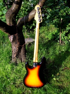http://baskytara.com/img/m/2957/t/p171mb1srf1dlnr5p6mhk2s2v64.jpg