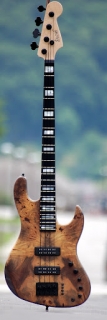 http://baskytara.com/img/m/3404/t/p179vkndu8q664nt86q1rf41rvg3.jpg
