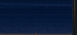 https://baskytara.com/img/m/3359/t/p1jeudopnolaski3m8p1oj61n3a3.png