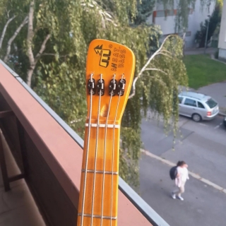 https://baskytara.com/img/m/433/t/p1i8g7opqq1oh41tna1dru75pov4.jpg
